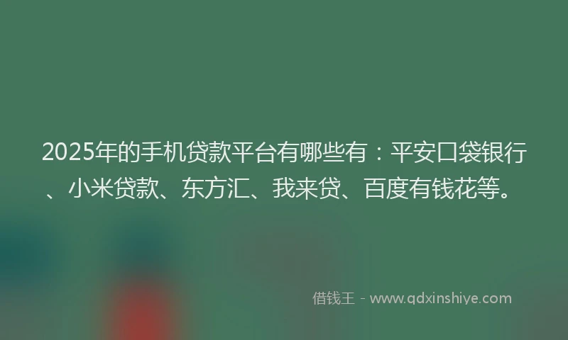 2025年的手机贷款平台有哪些有：平安口袋银行、小米贷款、东方汇、我来贷、百度有钱花等。