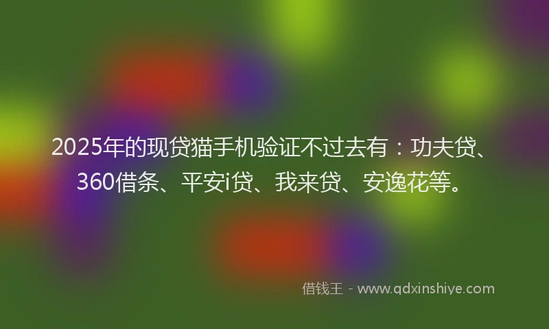 2025年的现贷猫手机验证不过去有：功夫贷、360借条、平安i贷、我来贷、安逸花等。