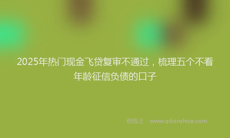 2025年热门现金飞贷复审不通过，梳理五个不看年龄征信负债的口子