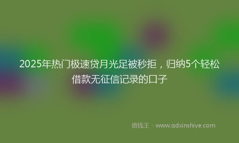 2025年热门极速贷月光足被秒拒，归纳5个轻松借款无征信记录的口子