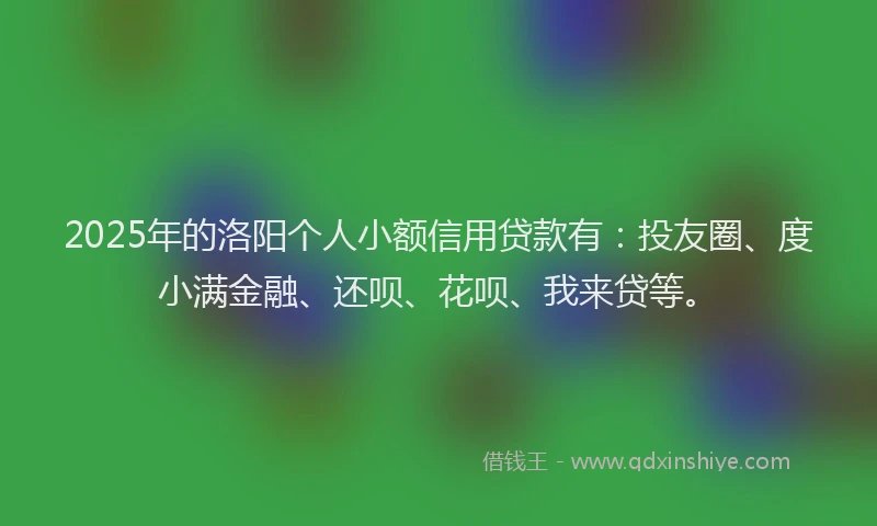 2025年的洛阳个人小额信用贷款有：投友圈、度小满金融、还呗、花呗、我来贷等。