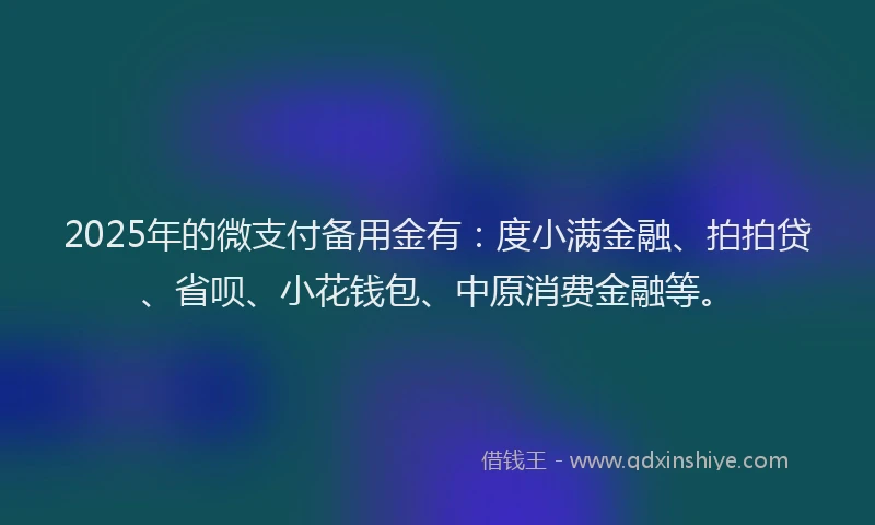 2025年的微支付备用金有：度小满金融、拍拍贷、省呗、小花钱包、中原消费金融等。