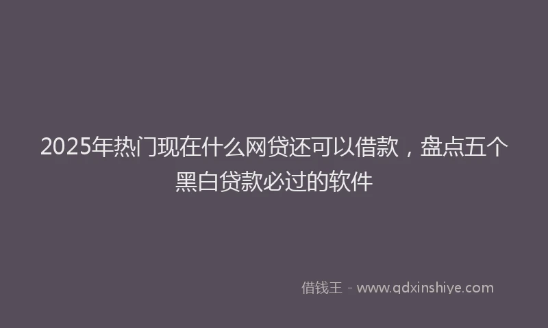 2025年热门现在什么网贷还可以借款，盘点五个黑白贷款必过的软件
