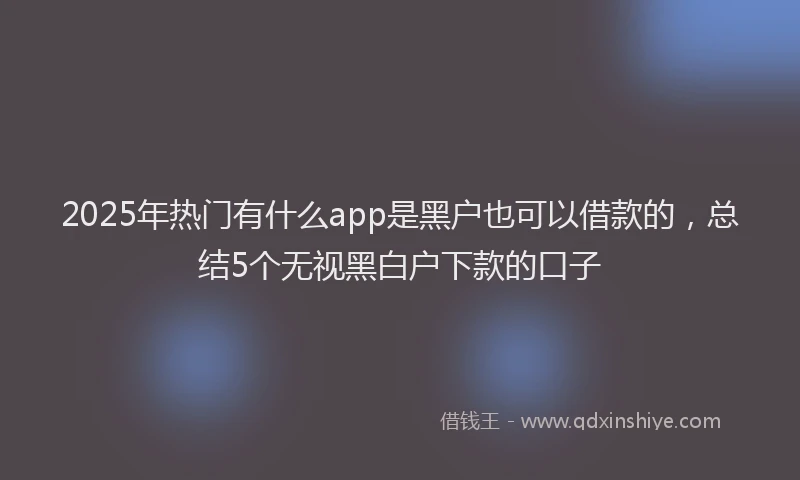 2025年热门有什么app是黑户也可以借款的，总结5个无视黑白户下款的口子
