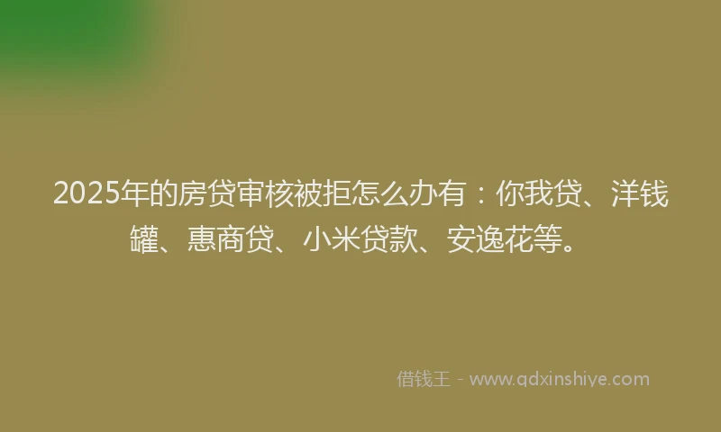 2025年的房贷审核被拒怎么办有：你我贷、洋钱罐、惠商贷、小米贷款、安逸花等。