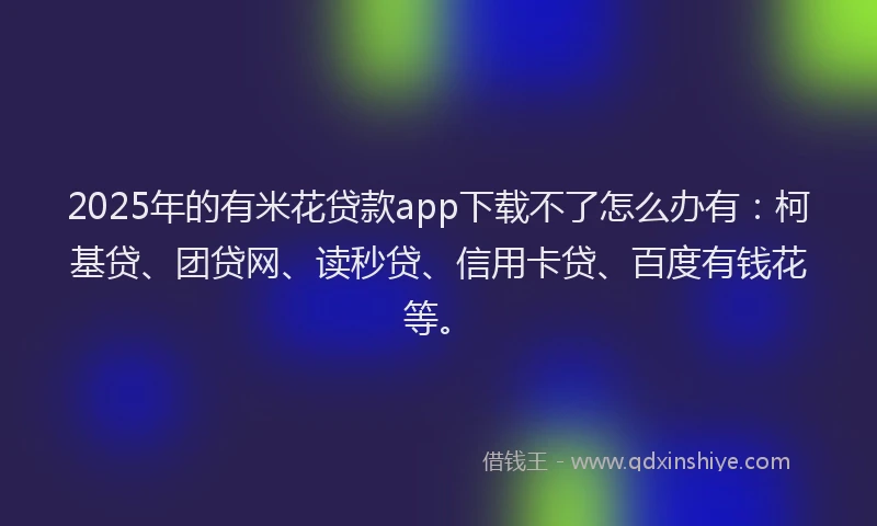 2025年的有米花贷款app下载不了怎么办有：柯基贷、团贷网、读秒贷、信用卡贷、百度有钱花等。