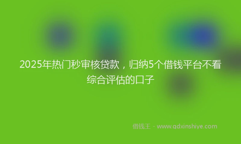 2025年热门秒审核贷款，归纳5个借钱平台不看综合评估的口子
