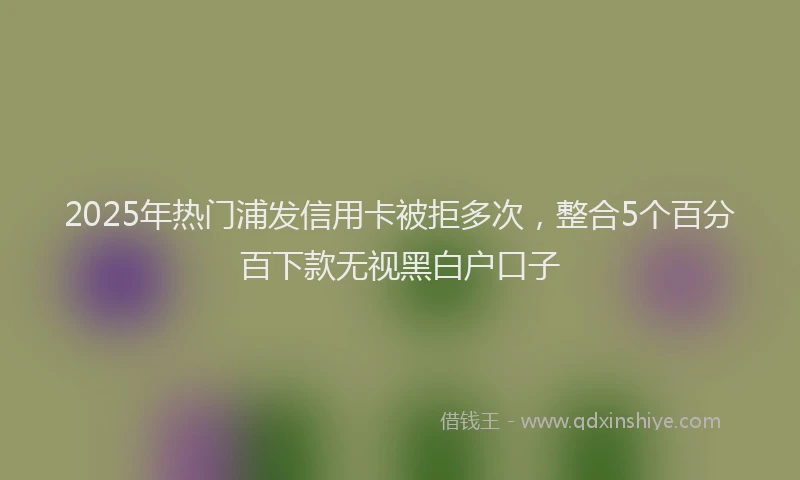 2025年热门浦发信用卡被拒多次，整合5个百分百下款无视黑白户口子