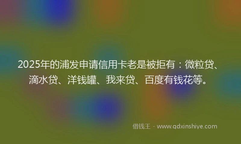 2025年的浦发申请信用卡老是被拒有：微粒贷、滴水贷、洋钱罐、我来贷、百度有钱花等。