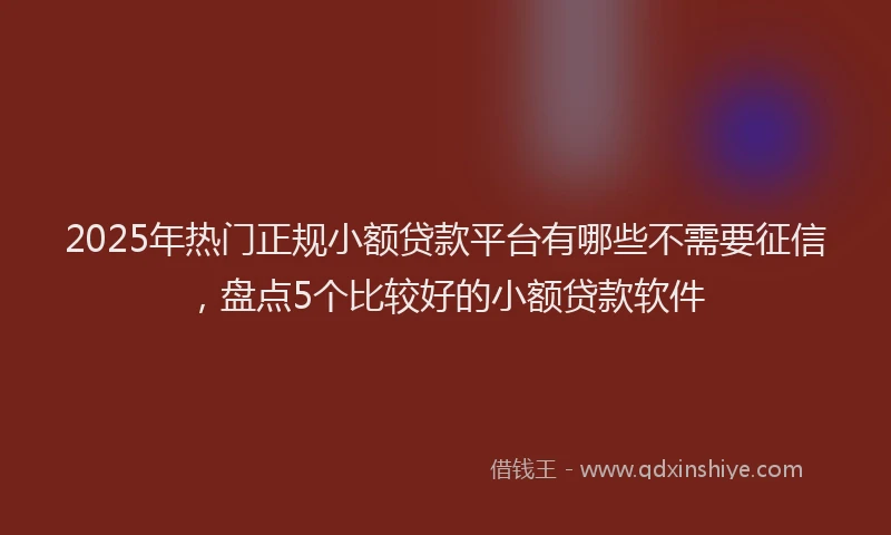 2025年热门正规小额贷款平台有哪些不需要征信，盘点5个比较好的小额贷款软件