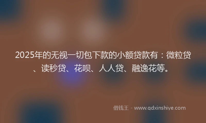 2025年的无视一切包下款的小额贷款有：微粒贷、读秒贷、花呗、人人贷、融逸花等。