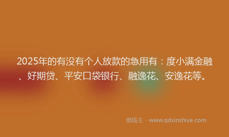 2025年的有没有个人放款的急用有：度小满金融、好期贷、平安口袋银行、融逸花、安逸花等。