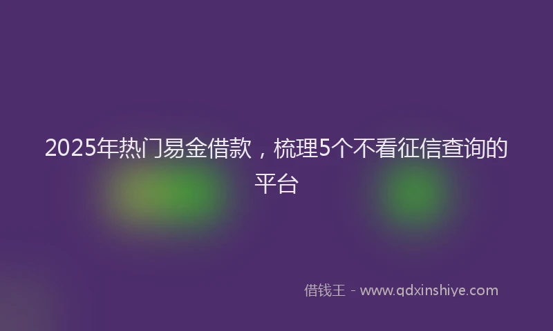 2025年热门易金借款，梳理5个不看征信查询的平台