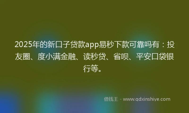2025年的新口子贷款app易秒下款可靠吗有：投友圈、度小满金融、读秒贷、省呗、平安口袋银行等。