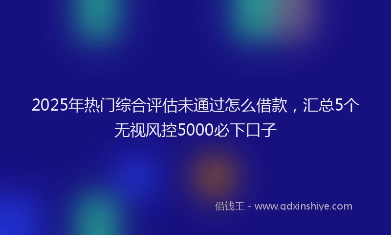 2025年热门综合评估未通过怎么借款，汇总5个无视风控5000必下口子