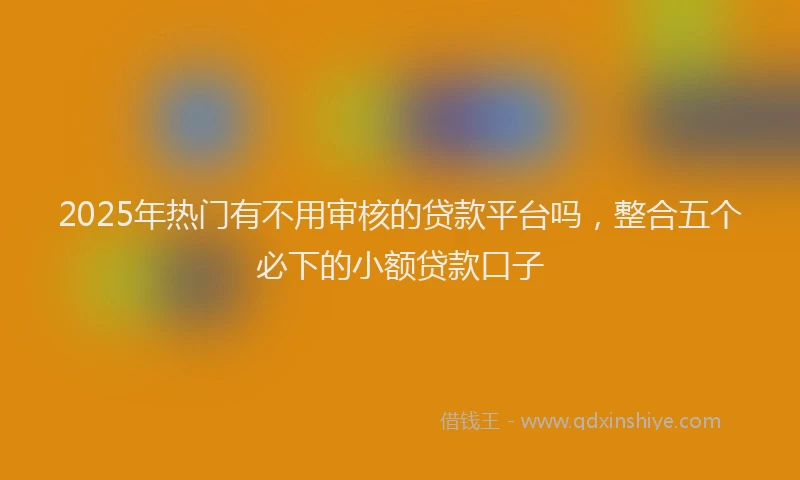 2025年热门有不用审核的贷款平台吗，整合五个必下的小额贷款口子