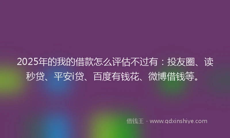 2025年的我的借款怎么评估不过有：投友圈、读秒贷、平安i贷、百度有钱花、微博借钱等。
