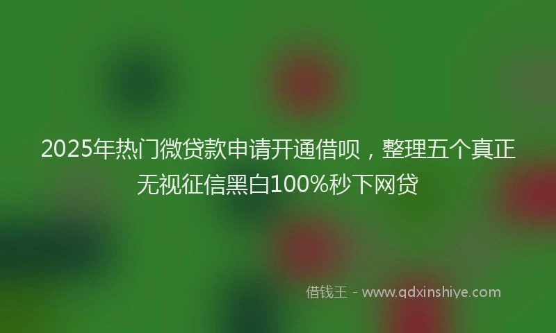 2025年热门微贷款申请开通借呗，整理五个真正无视征信黑白100%秒下网贷