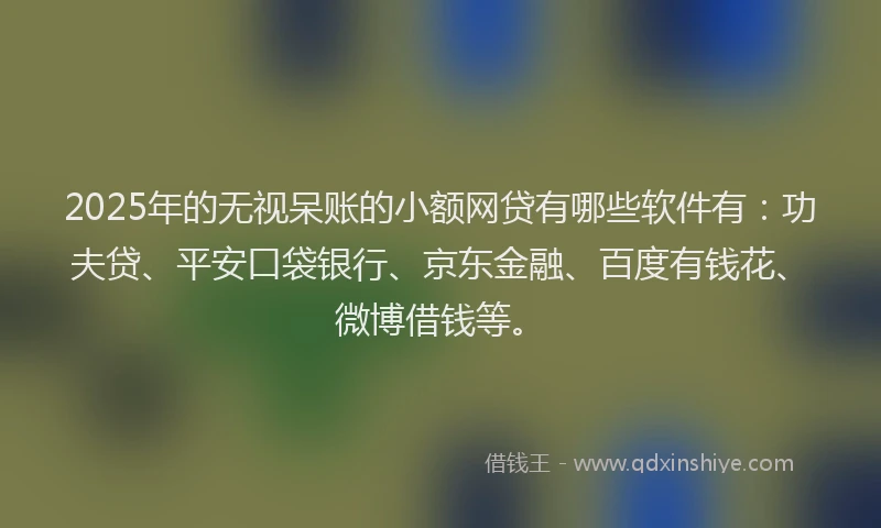 2025年的无视呆账的小额网贷有哪些软件有：功夫贷、平安口袋银行、京东金融、百度有钱花、微博借钱等。