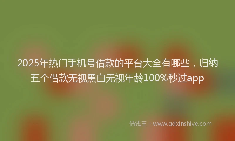 2025年热门手机号借款的平台大全有哪些，归纳五个借款无视黑白无视年龄100%秒过app