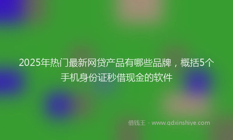 2025年热门最新网贷产品有哪些品牌，概括5个手机身份证秒借现金的软件