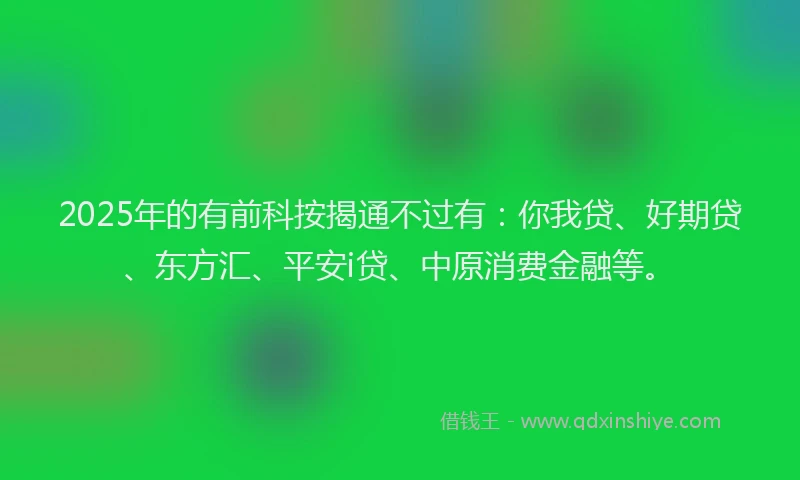2025年的有前科按揭通不过有：你我贷、好期贷、东方汇、平安i贷、中原消费金融等。