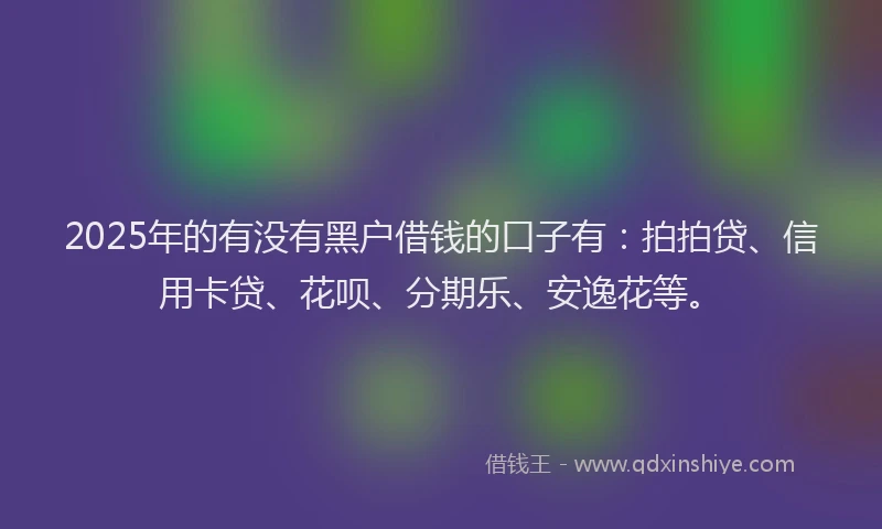 2025年的有没有黑户借钱的口子有：拍拍贷、信用卡贷、花呗、分期乐、安逸花等。