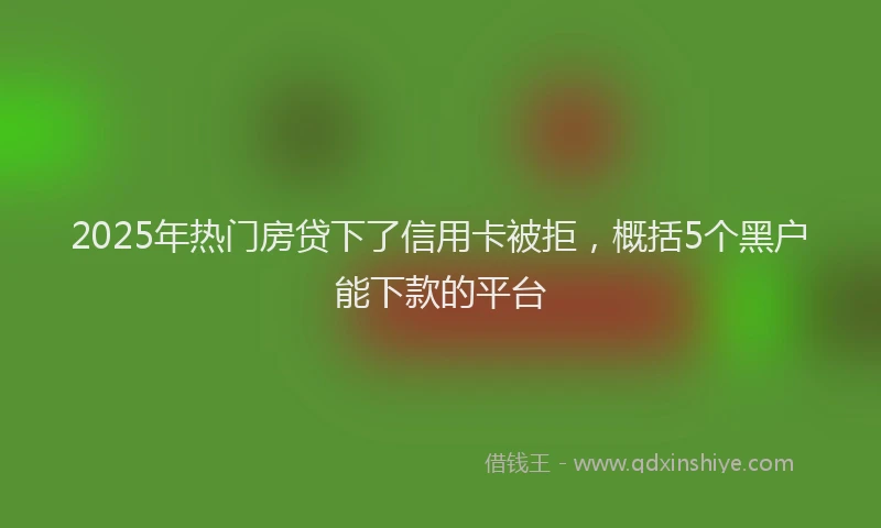 2025年热门房贷下了信用卡被拒，概括5个黑户能下款的平台