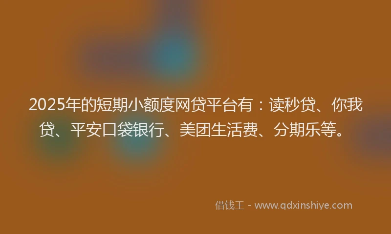 2025年的短期小额度网贷平台有：读秒贷、你我贷、平安口袋银行、美团生活费、分期乐等。