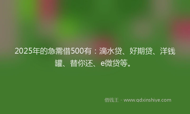 2025年的急需借500有：滴水贷、好期贷、洋钱罐、替你还、e微贷等。