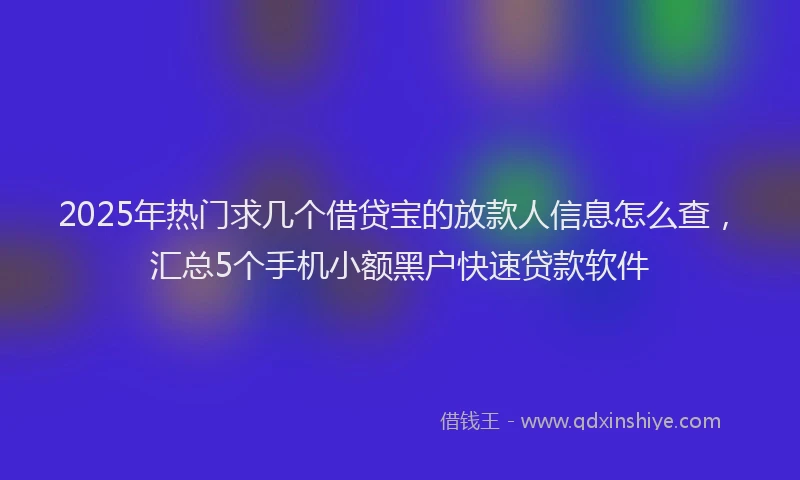 2025年热门求几个借贷宝的放款人信息怎么查，汇总5个手机小额黑户快速贷款软件