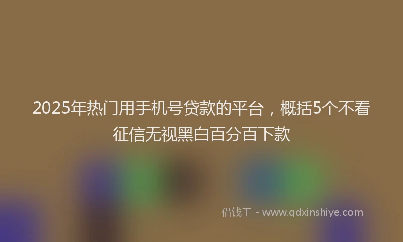 2025年热门用手机号贷款的平台，概括5个不看征信无视黑白百分百下款