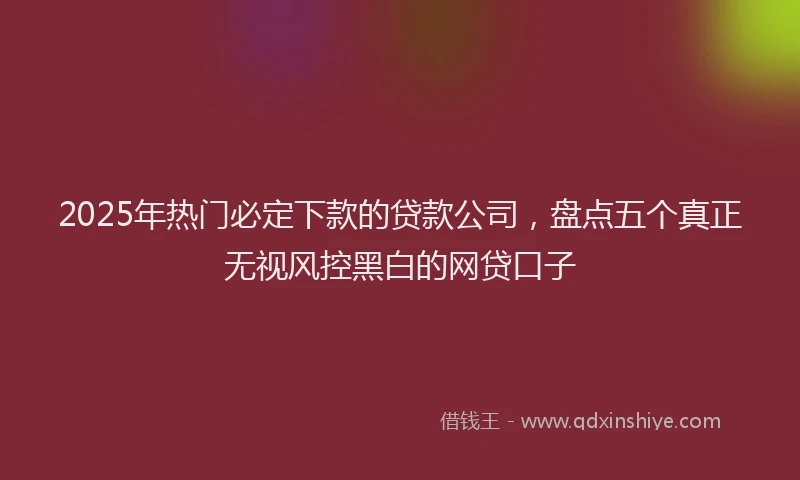 2025年热门必定下款的贷款公司，盘点五个真正无视风控黑白的网贷口子