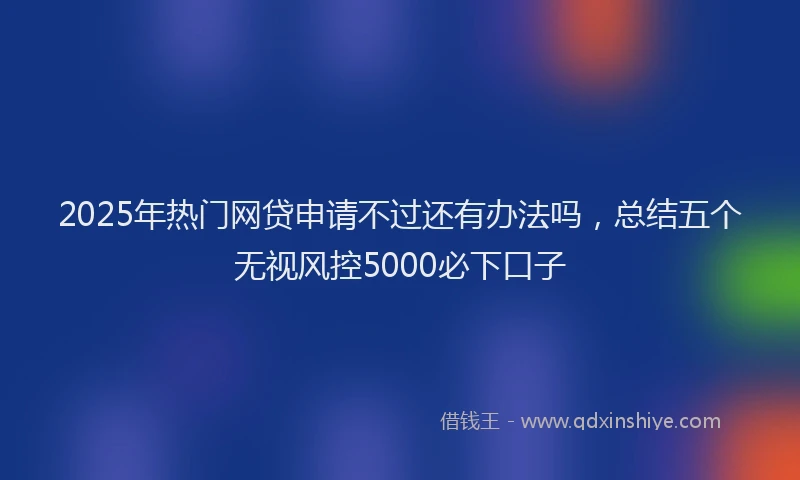 2025年热门网贷申请不过还有办法吗，总结五个无视风控5000必下口子