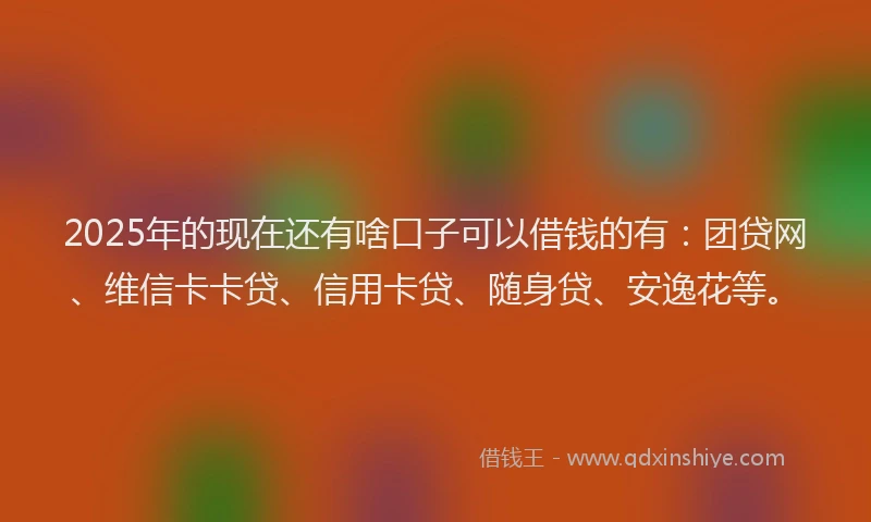 2025年的现在还有啥口子可以借钱的有：团贷网、维信卡卡贷、信用卡贷、随身贷、安逸花等。