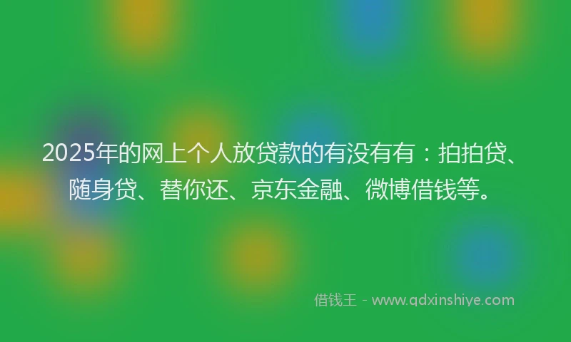 2025年的网上个人放贷款的有没有有：拍拍贷、随身贷、替你还、京东金融、微博借钱等。