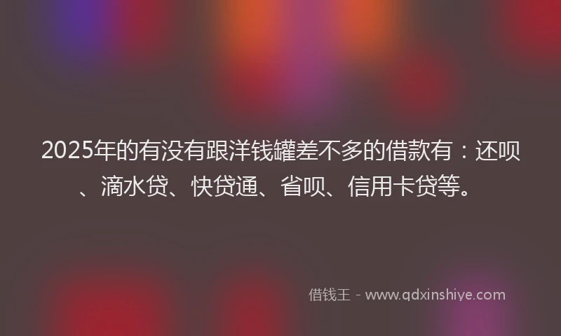 2025年的有没有跟洋钱罐差不多的借款有：还呗、滴水贷、快贷通、省呗、信用卡贷等。