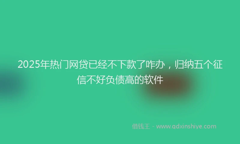 2025年热门网贷已经不下款了咋办，归纳五个征信不好负债高的软件