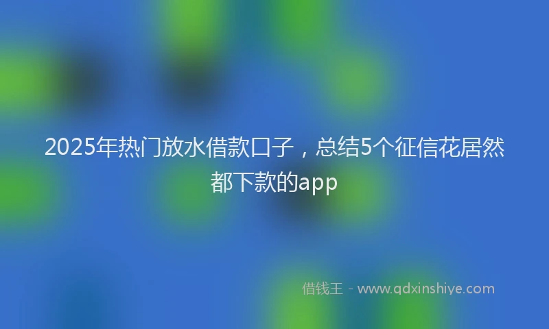 2025年热门放水借款口子，总结5个征信花居然都下款的app