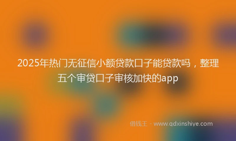 2025年热门无征信小额贷款口子能贷款吗，整理五个审贷口子审核加快的app