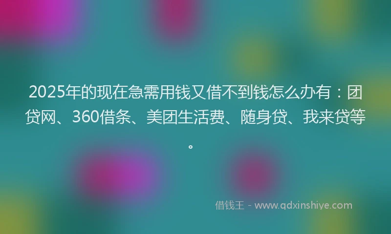 2025年的现在急需用钱又借不到钱怎么办有：团贷网、360借条、美团生活费、随身贷、我来贷等。