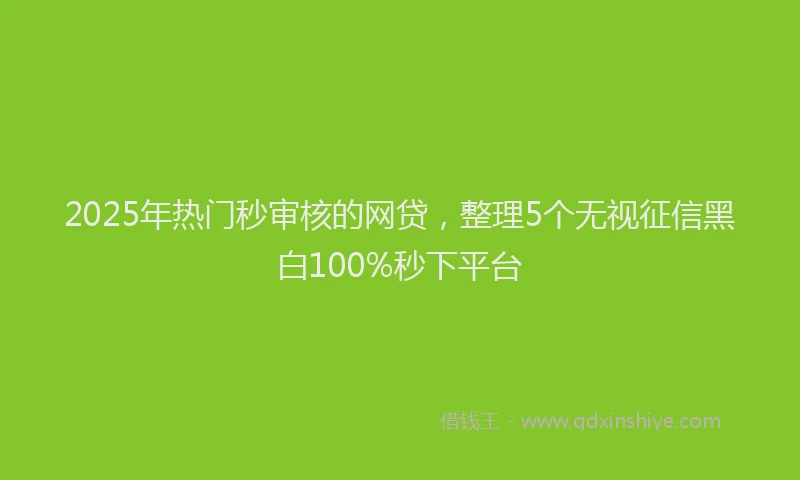 2025年热门秒审核的网贷，整理5个无视征信黑白100%秒下平台
