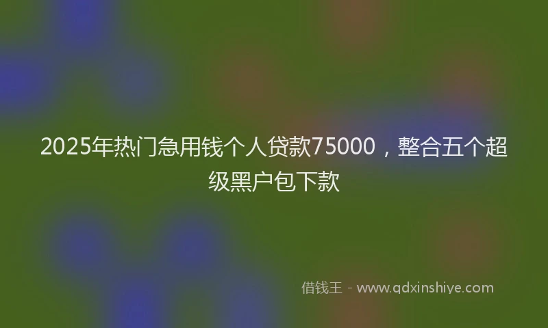 2025年热门急用钱个人贷款75000，整合五个超级黑户包下款