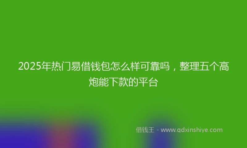 2025年热门易借钱包怎么样可靠吗，整理五个高炮能下款的平台