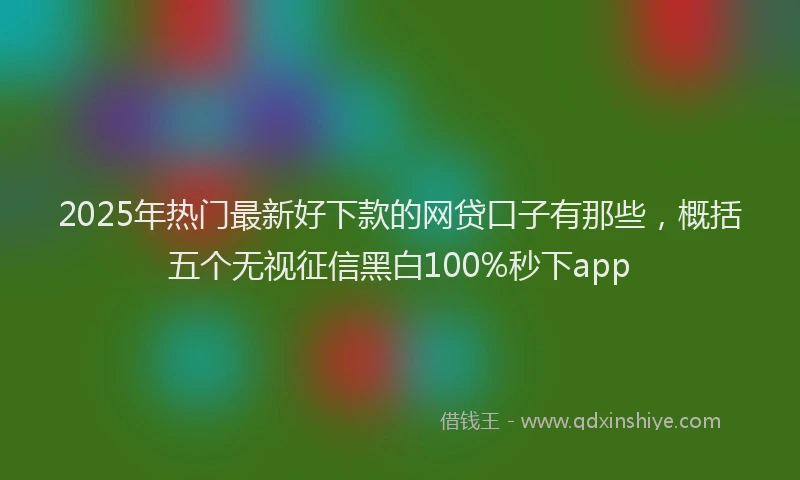 2025年热门最新好下款的网贷口子有那些，概括五个无视征信黑白100%秒下app