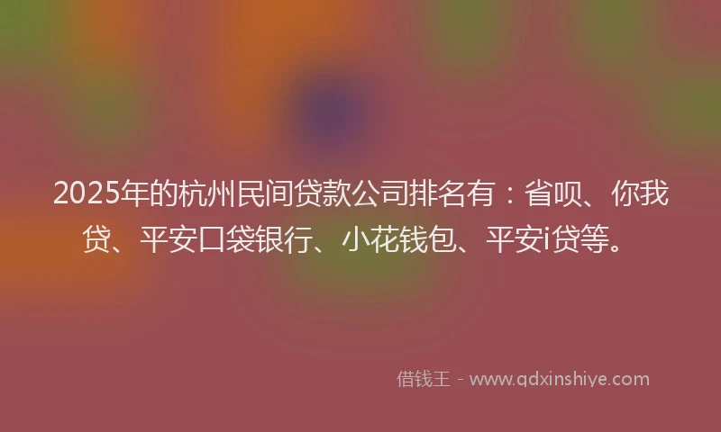 2025年的杭州民间贷款公司排名有：省呗、你我贷、平安口袋银行、小花钱包、平安i贷等。