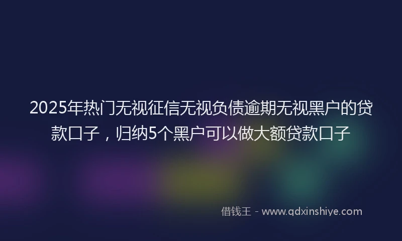 2025年热门无视征信无视负债逾期无视黑户的贷款口子，归纳5个黑户可以做大额贷款口子