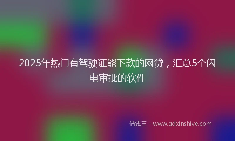 2025年热门有驾驶证能下款的网贷，汇总5个闪电审批的软件