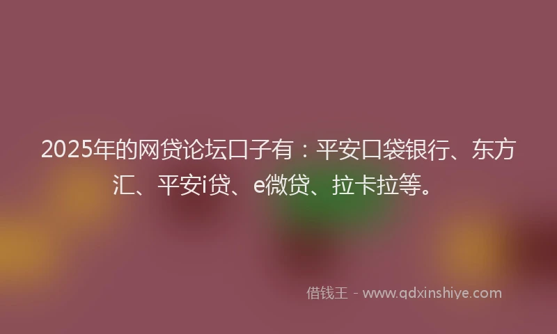 2025年的网贷论坛口子有：平安口袋银行、东方汇、平安i贷、e微贷、拉卡拉等。