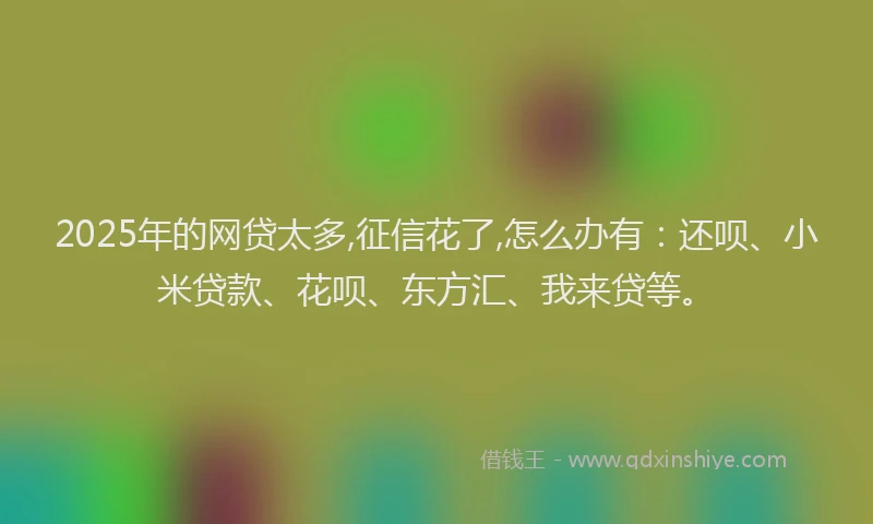2025年的网贷太多,征信花了,怎么办有：还呗、小米贷款、花呗、东方汇、我来贷等。